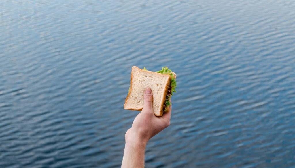 person holding sandwich